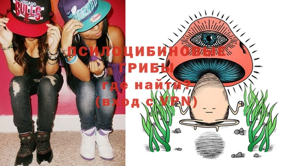 стаф Абинск