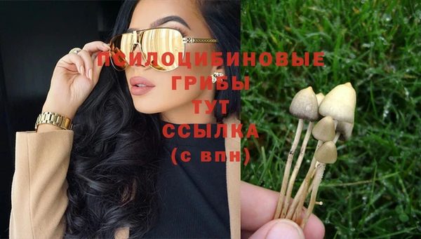 стаф Абинск