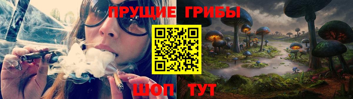 Хасавюрт  Галлюциногенные грибы Magic Shrooms  Галлюциногенные грибы мухоморы  купить наркотики цена  Вход с VPN 